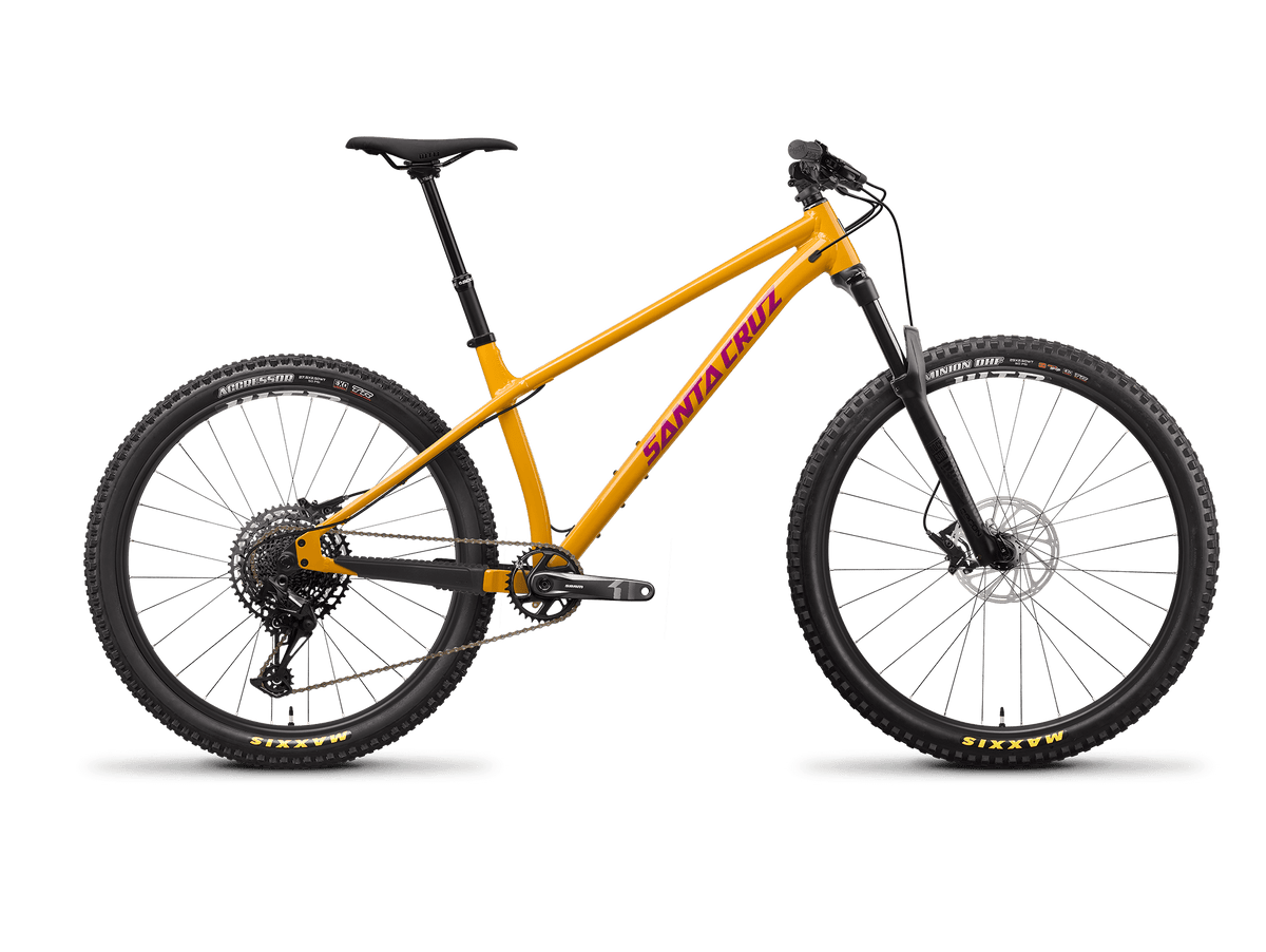 Santa cruz chameleon on sale frame