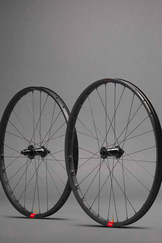 Reserve 30|SL x DT 350 Wheelset