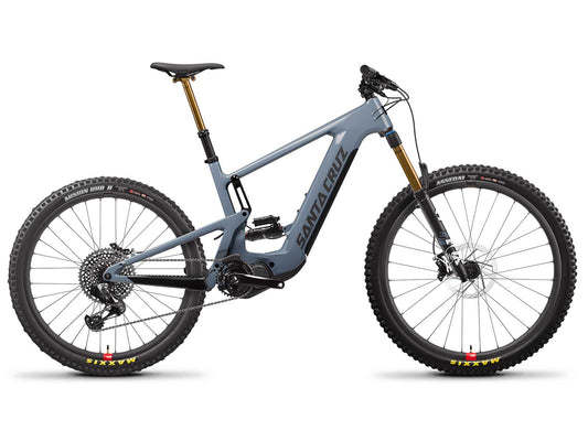 Santa cruz hot sale heckler 1996