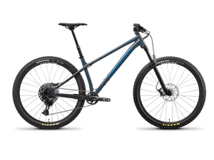 Santa cruz chameleon details hotsell