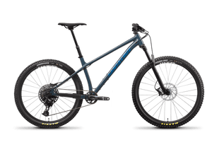 Santa cruz chameleon store d 29