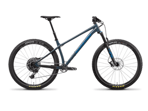 Santa cruz best sale chameleon r+
