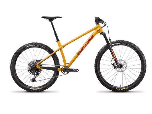 Santa cruz chameleon craigslist shop