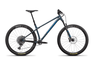 Santa cruz chameleon shop black