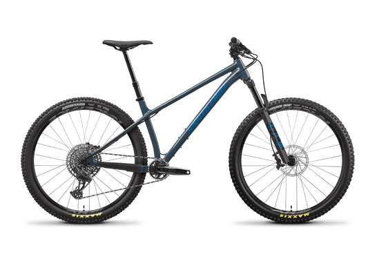 Custom santa cruz store chameleon