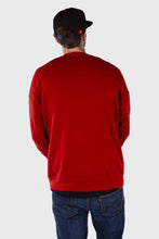 Load image into Gallery viewer, Santa Cruz Squared Crew - Brick