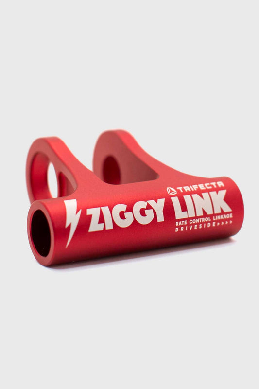 Forbidden Ziggy Link