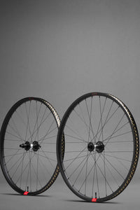 Reserve 30|SL AL x DT 350 Wheelset